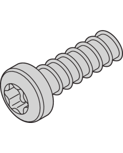 SCREW TORX 2.5X7.3 (100PCS)