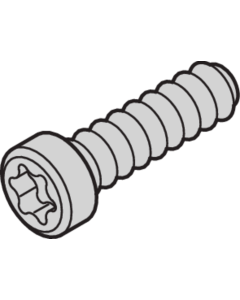 SCREW TORX 2.5X9.3 (100PCS)